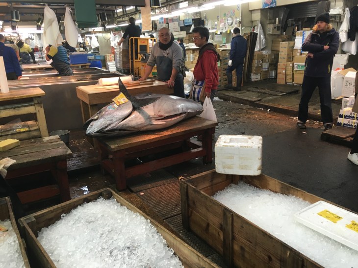 Tsukiji3