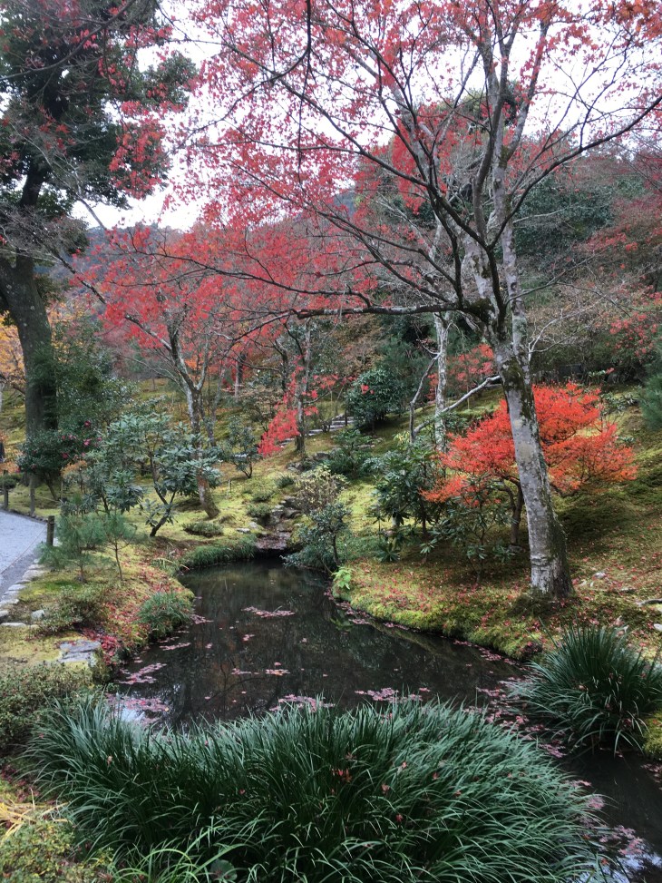 Zen Garden Kyoto