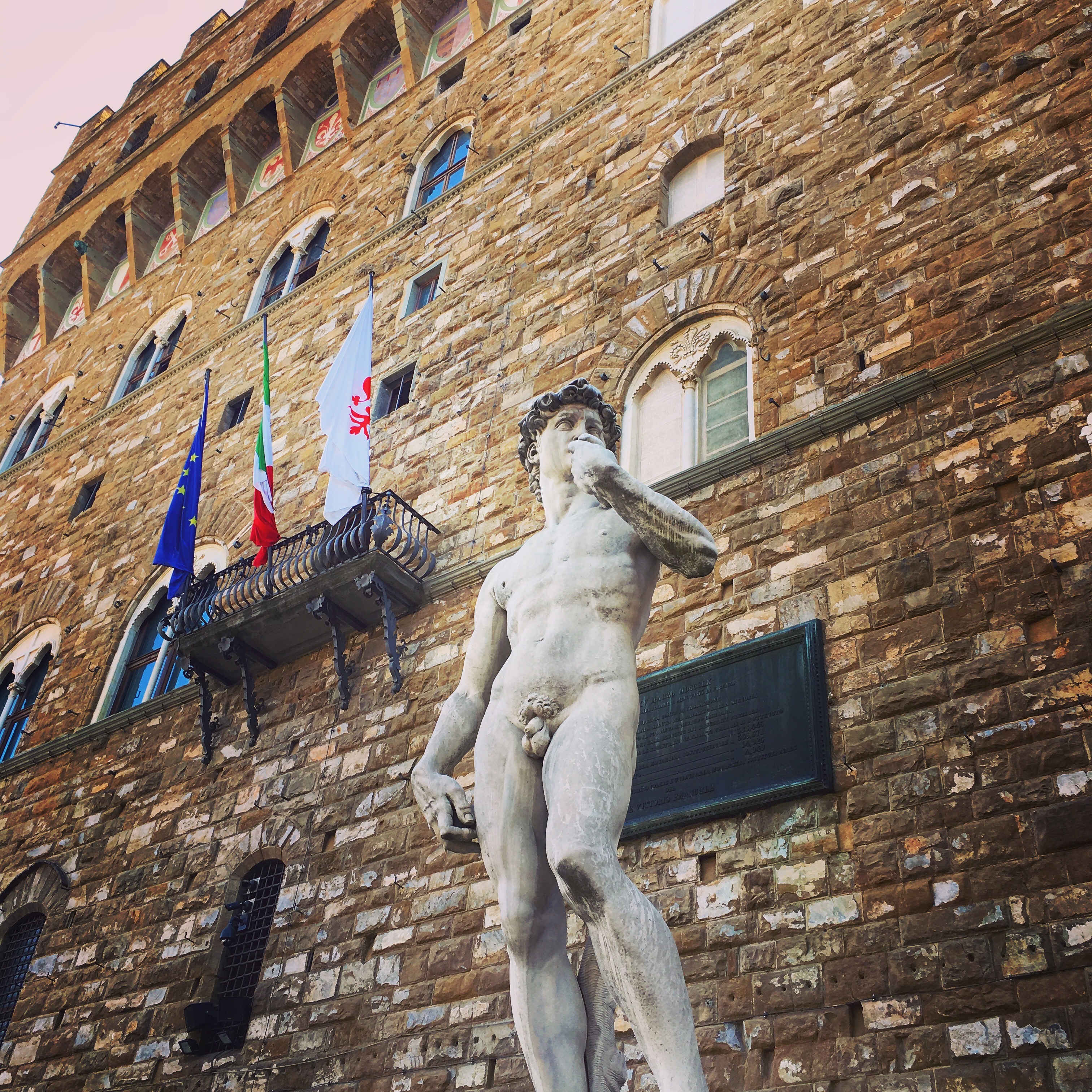 Michelangelo's David